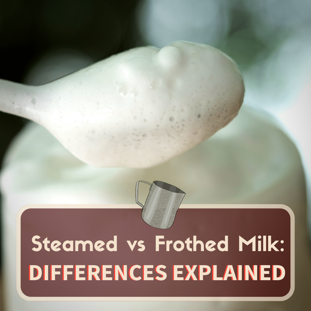 steamed vs frothed milk