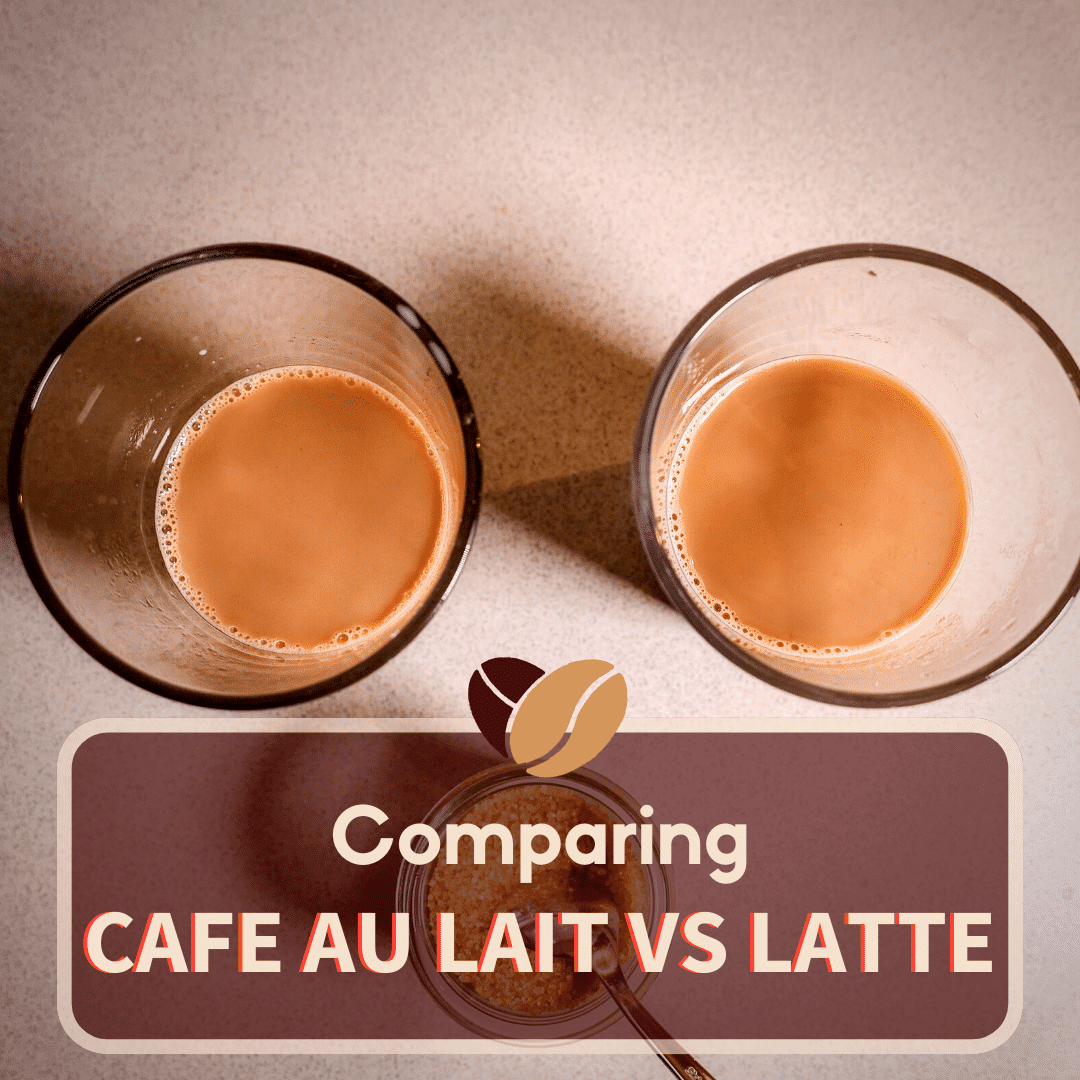 CAFE AU LAIT VS LATTE