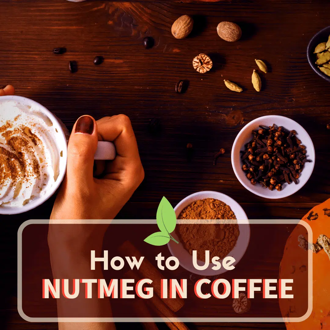 nutmeg in coffee