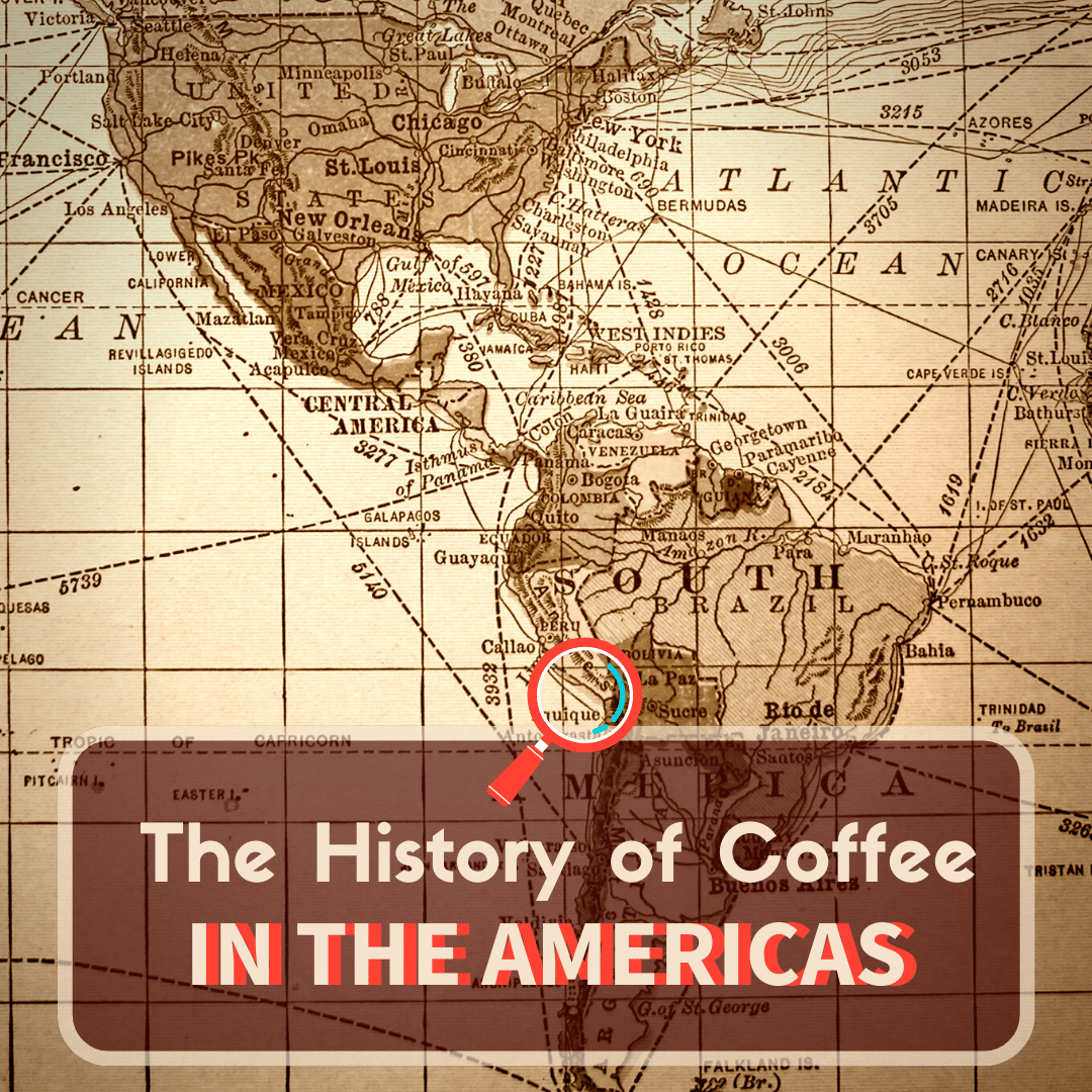 The history of coffee