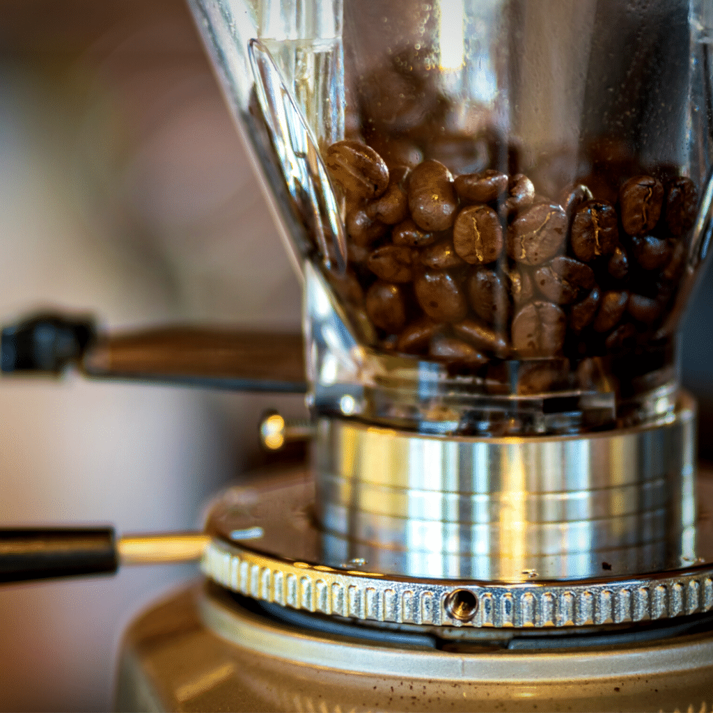what is a burr grinder