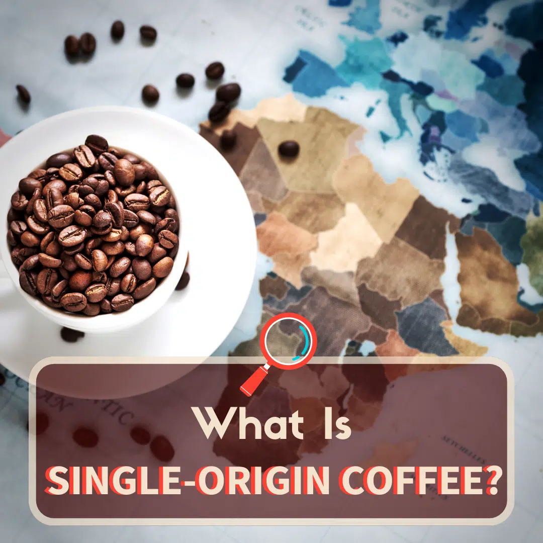 what-is-single-origin-coffee-your-comprehensive-guide