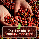 benefits of organic coffee