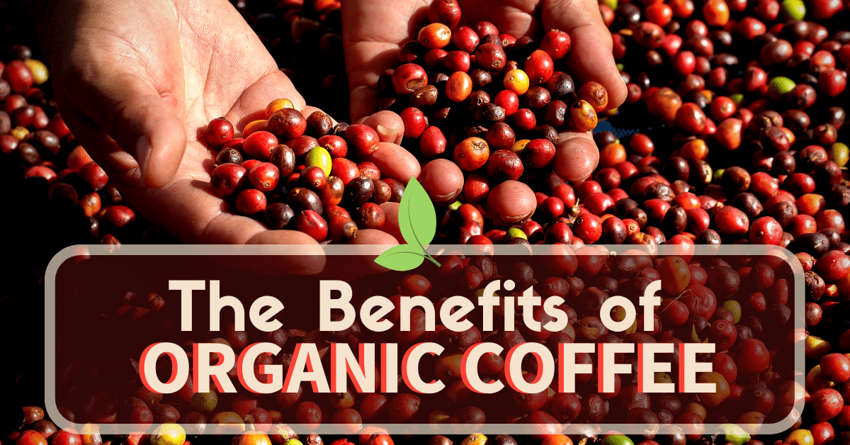 These Benefits Of Organic Coffee May Surprise You 2023