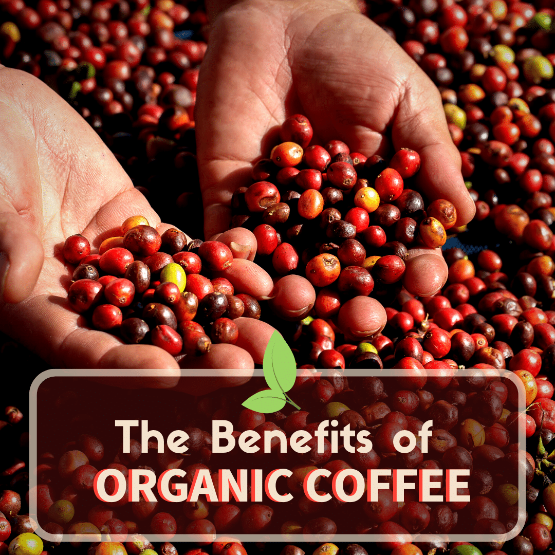 benefits of organic coffee