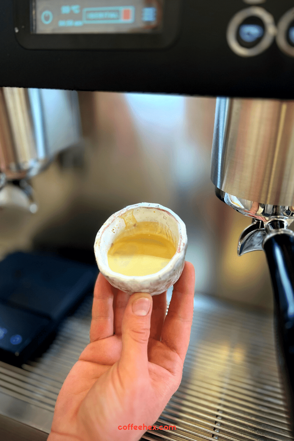 How To Pull An Espresso Shot Pull The Perfect Shot Of Espresso