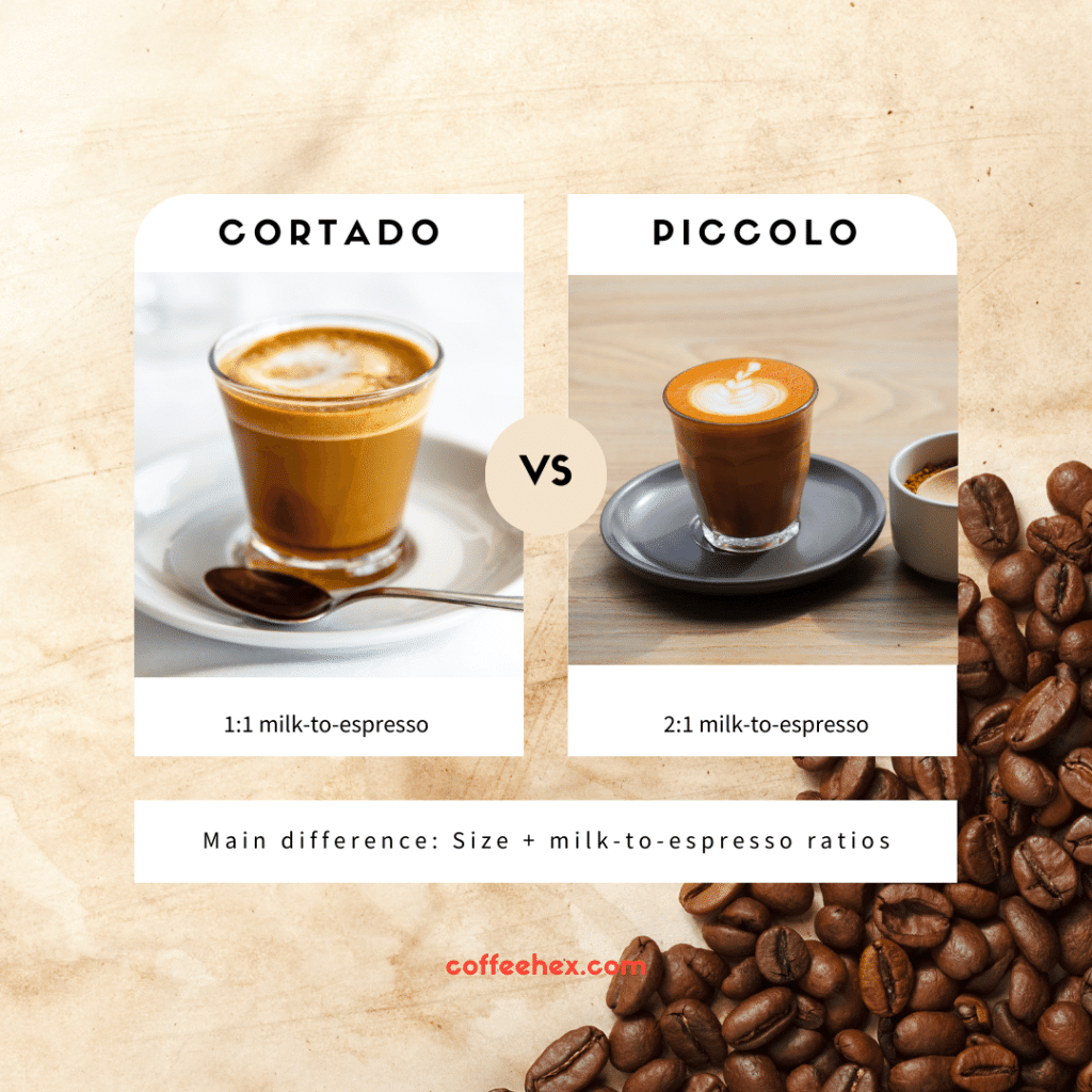 cortado vs Piccolo