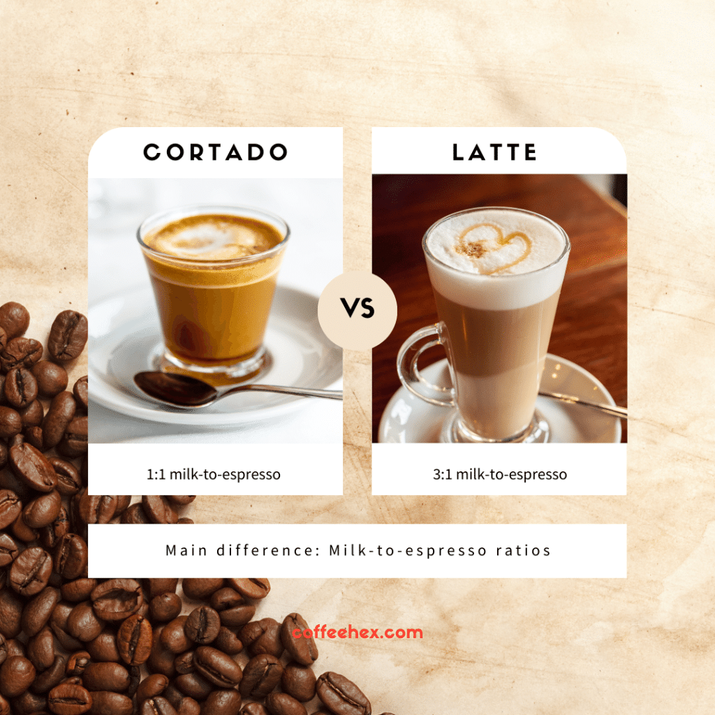 cortado vs latte