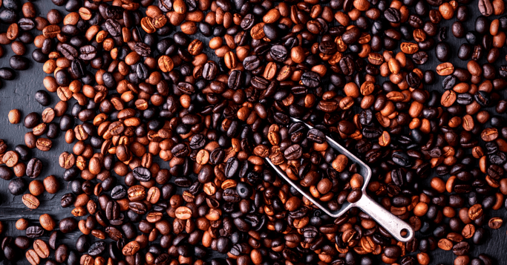 best medium roast coffee