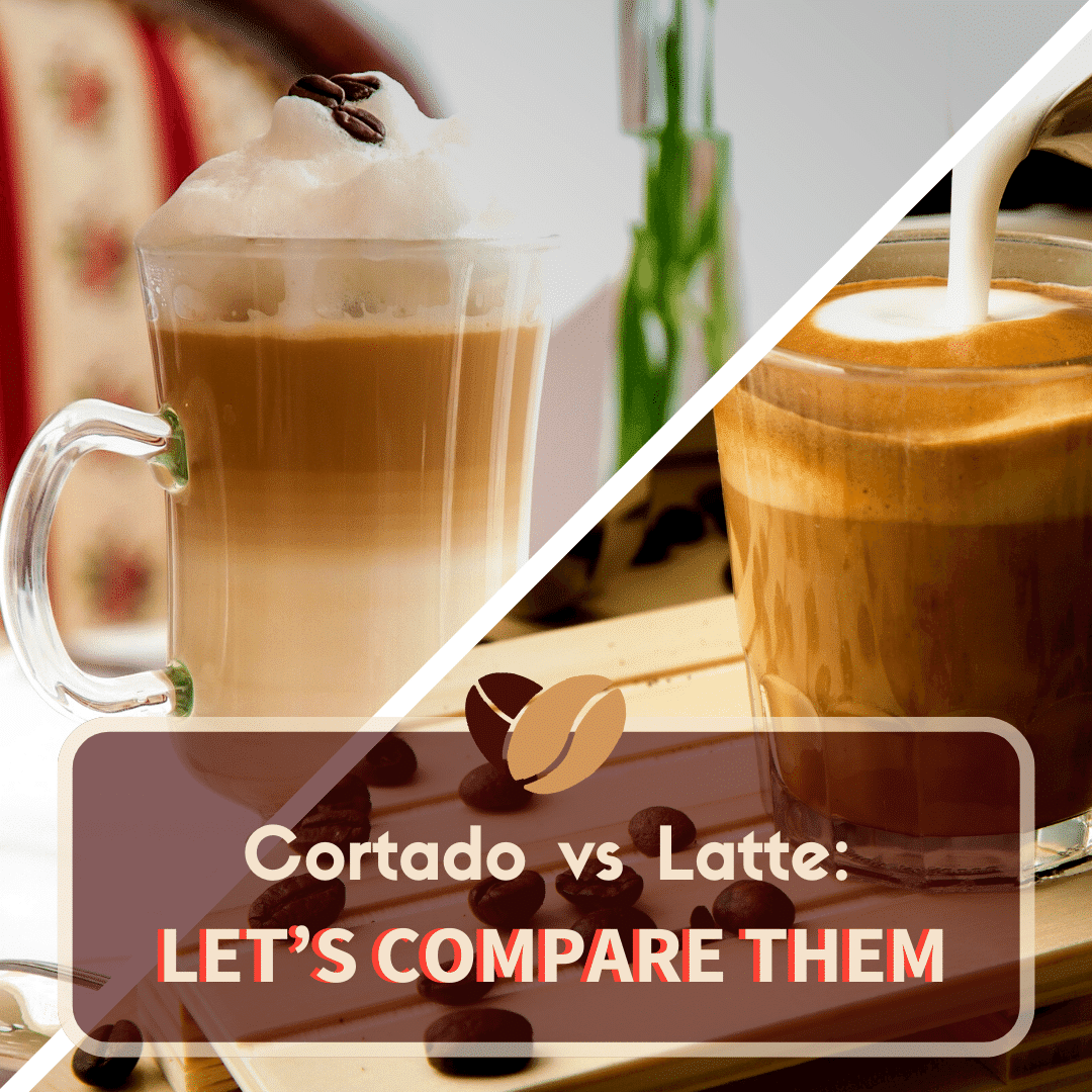 cortado vs latte