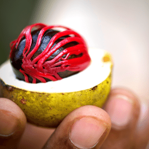 nutmeg in coffee